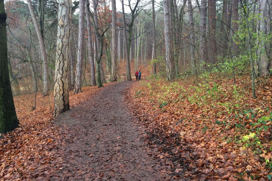 Trailrunning Herbst 