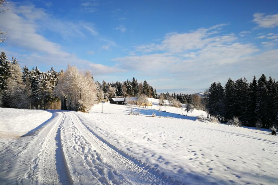 Schneelandschaft Österreich